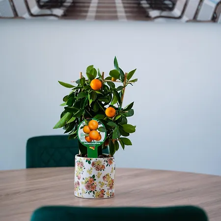 Terminal Sud Отель типа 