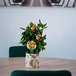 Terminal Sud Bed & Breakfast Bari